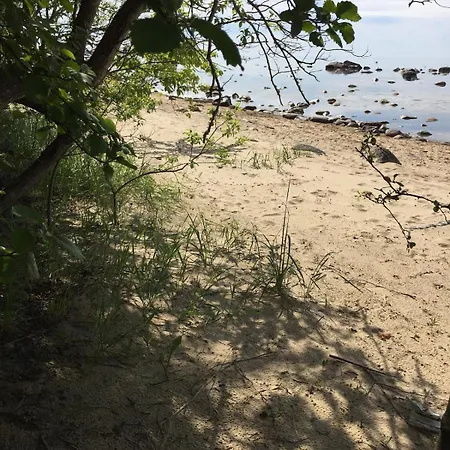 Kosmos By The Sea And Forest Turisalu