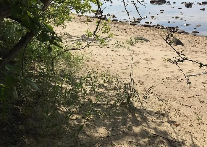 Kosmos - - - Quiet Stretch By The Sea And Forest! Turisalu