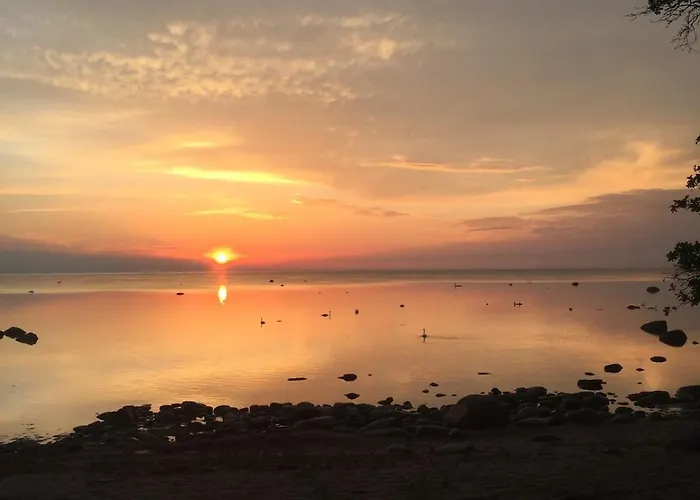 Kosmos - - - Quiet Stretch By The Sea And Forest!