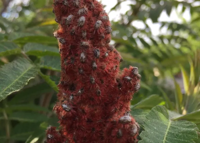 بيت للعطل Kosmos - - - Quiet Stretch By The Sea And Forest! *